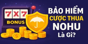 Bảo Hiểm Cược Thua Nohu Là Gì? Cơ Hội Gỡ Vốn Cho Dân Quay Hũ
